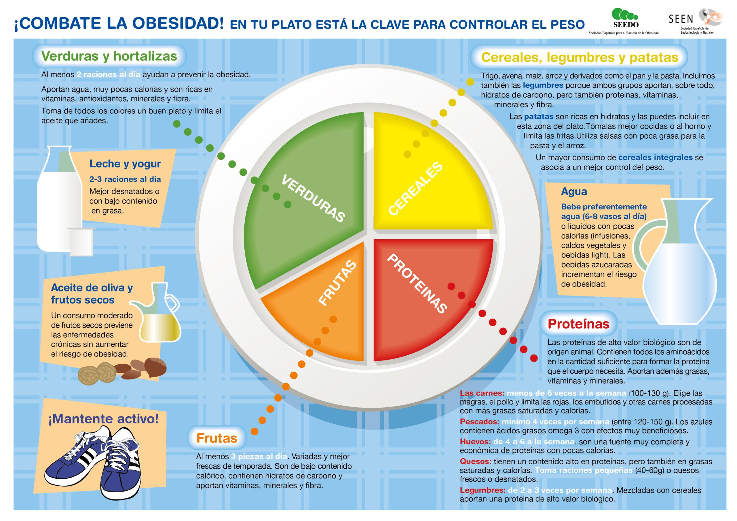 Plato Ideal Educación Movisalud